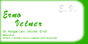 erno velner business card