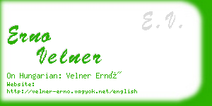 erno velner business card